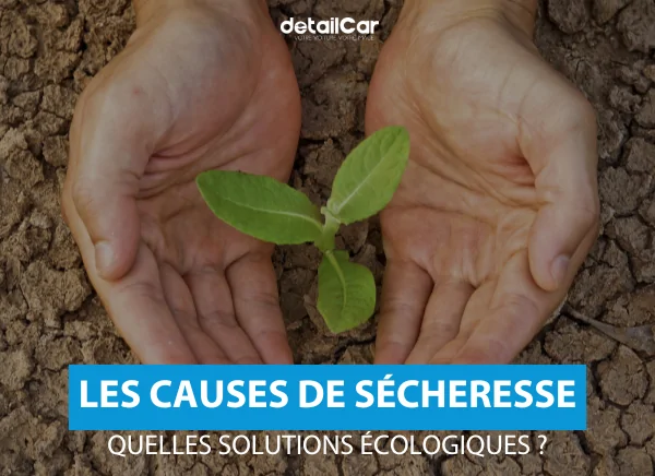 Urgence Sécheresse : Quelles sont les solutions écologiques ?