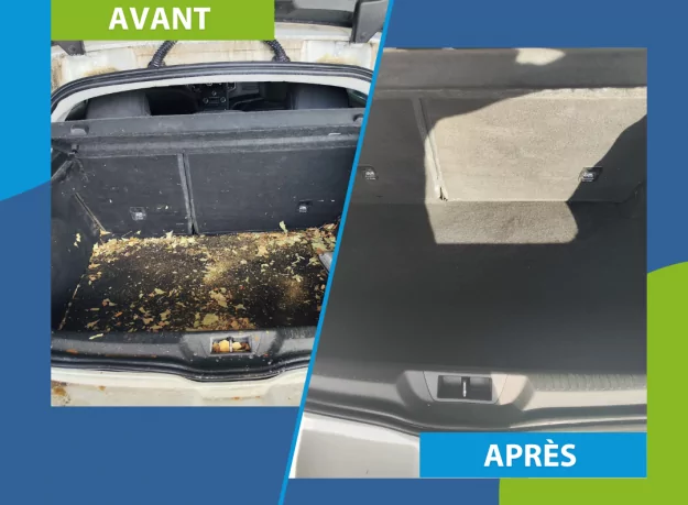 DetailCar Avignon Cap Sud / Lavage et soin de véhicules sans eau sur Avignon
